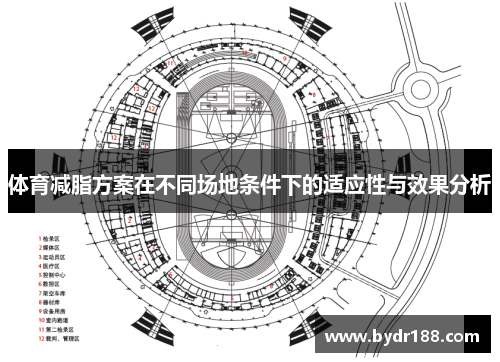 体育减脂方案在不同场地条件下的适应性与效果分析