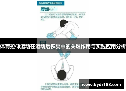 体育拉伸运动在运动后恢复中的关键作用与实践应用分析