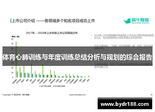 体育心肺训练与年度训练总结分析与规划的综合报告